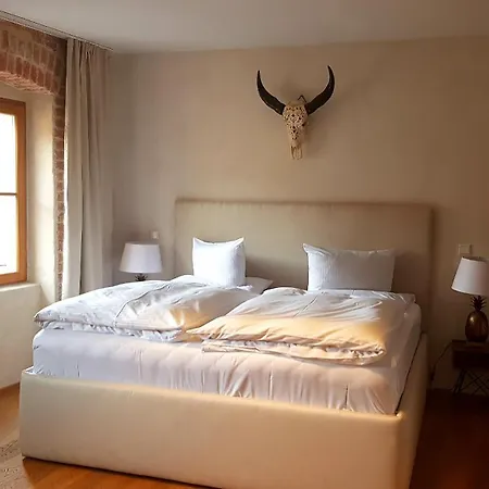 فندق Rote19 ريغنسبورغ