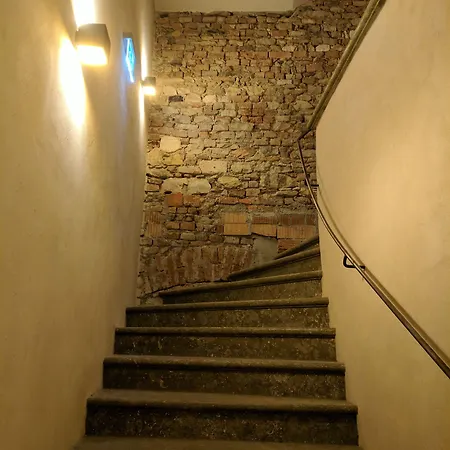 فندق Rote19 ريغنسبورغ