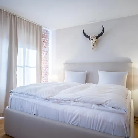 Rote19 4* 雷根斯堡